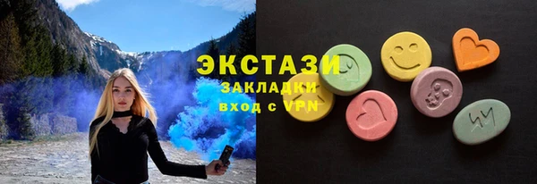 индика Медногорск