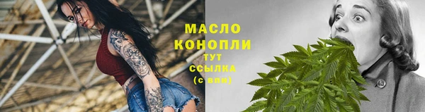 индика Медногорск