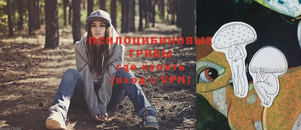 таблы Медвежьегорск
