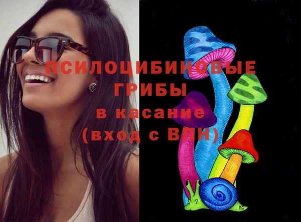 индика Медногорск