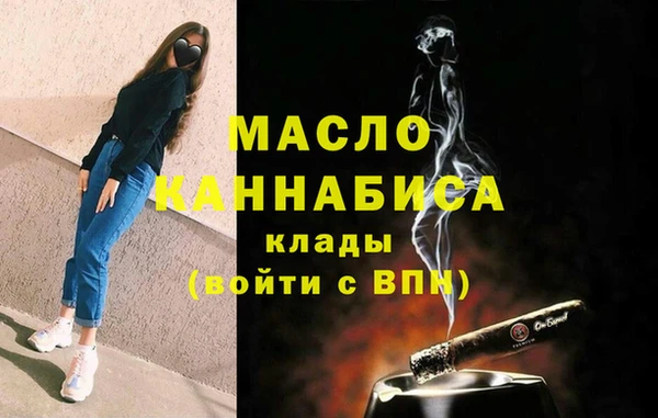 индика Медногорск
