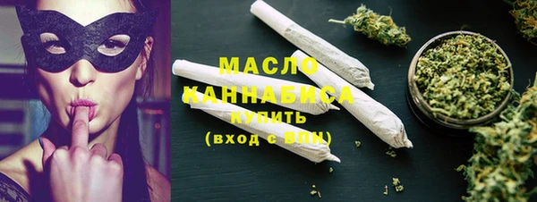 индика Медногорск
