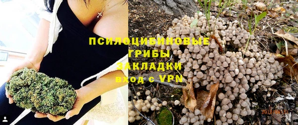герыч Мегион