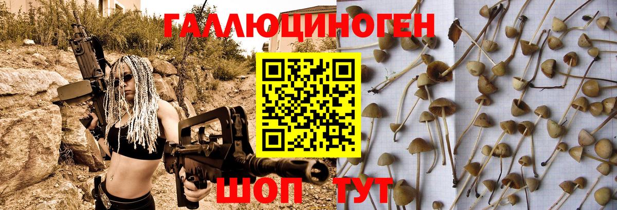 Галлюциногенные грибы Psilocybe  где можно купить   Россия  Вход с VPN 